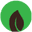 Detox Organic